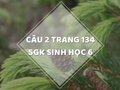 Câu 2 trang 134 SGK Sinh học 6