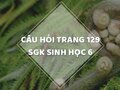 Câu hỏi thảo luận trang 129 SGK Sinh 6