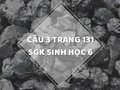 Câu 3 trang 131 SGK Sinh học 6