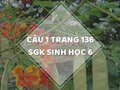 Câu 1 trang 136 SGK Sinh học 6