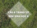 Câu 4 trang 127 SGK Sinh học 6