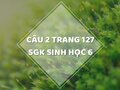 Câu 2 trang 127 SGK Sinh học 6