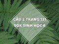 Câu 2 trang 131 SGK Sinh học 6