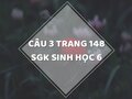 Câu 3 trang 148 SGK Sinh học 6