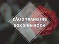 Câu 2 trang 148 SGK Sinh học 6