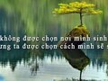 Ta không được chọn nơi mình sinh ra nhưng ta được chọn cách mình sẽ sống