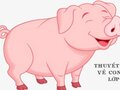Thuyết minh về con lợn