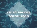 Câu hỏi thảo luận trang 161 SGK Sinh 6