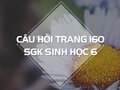 Câu hỏi thảo luận trang 160 SGK Sinh 6
