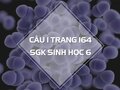 Câu 1 trang 164 SGK Sinh học 6