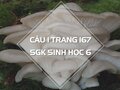 Câu 1 trang 167 SGK Sinh học 6