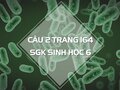 Câu 2 trang 164 SGK Sinh học 6