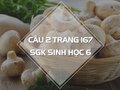 Câu 2 trang 167 SGK Sinh học 6
