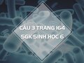 Câu 3 trang 164 SGK Sinh học 6