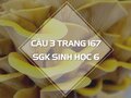 Câu 3 trang 167 SGK Sinh học 6