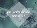 Câu hỏi thảo luận trang 162 SGK Sinh 6