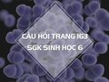 Câu hỏi thảo luận trang 163 SGK Sinh 6