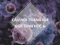 Câu hỏi thảo luận trang 164 SGK Sinh 6