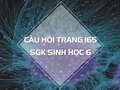 Câu hỏi thảo luận trang 165 SGK Sinh 6