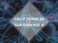 Câu 2 trang 161 SGK Sinh học 6