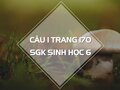 Câu 1 trang 170 SGK Sinh học 6