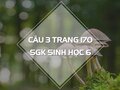Câu 3 trang 170 SGK Sinh 6