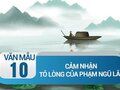 Cảm nhận về bài thơ Tỏ lòng của Phạm Ngũ Lão