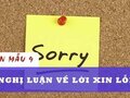Nghị luận về lời xin lỗi trong cuộc sống