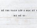 Đề thi Toán lớp 2 học kỳ 1 năm 2020 - Mã đề 45