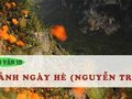 Soạn bài Cảnh ngày hè (Nguyễn Trãi)
