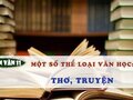 Soạn bài Một số thể loại văn học: Thơ, truyện