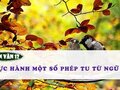 Soạn bài Thực hành một số phép tu từ ngữ âm
