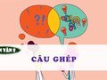 Soạn bài Câu ghép