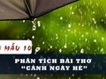 Phân tích bài thơ Cảnh ngày hè của Nguyễn Trãi