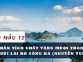 Phân tích chất vàng mười trong Người lái đò sông Đà (Nguyễn Tuân)