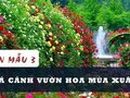 Tả cảnh vườn hoa mùa xuân