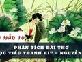 Phân tích bài thơ Đọc Tiểu Thanh kí - Nguyễn Du