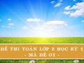 Đề thi Toán lớp 2 học kỳ 1 năm 2020 - Mã đề 01