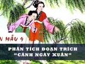 Phân tích đoạn trích Cảnh ngày xuân (Trích Truyện Kiều - Nguyễn Du)