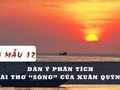 Dàn ý phân tích bài thơ Sóng của Xuân Quỳnh