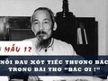 Nỗi đau xót tiếc thương Bác trong bài Bác ơi