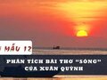 Phân tích bài thơ Sóng của Xuân Quỳnh