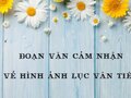 Đoạn văn cảm nhận về hình ảnh Lục Vân Tiên
