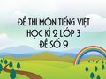 Đề thi học kì 2 môn Tiếng Việt lớp 3 năm 2019 - Đề số 9