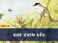 Soạn bài Khe chim kêu (Điểu minh giản) - Vương Duy