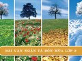 Top bài văn tả ngắn về bốn mùa lớp 2 hay nhất