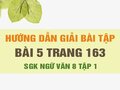 Bài 5 trang 163 SGK Ngữ văn 8