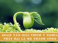Đoạn văn giải thích ý nghĩa Thất bại là mẹ thành công