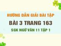 Bài 3 trang 163 SGK Ngữ văn 11 tập 1