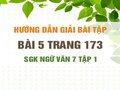Bài 5 trang 173 SGK Ngữ văn 7 tập 1